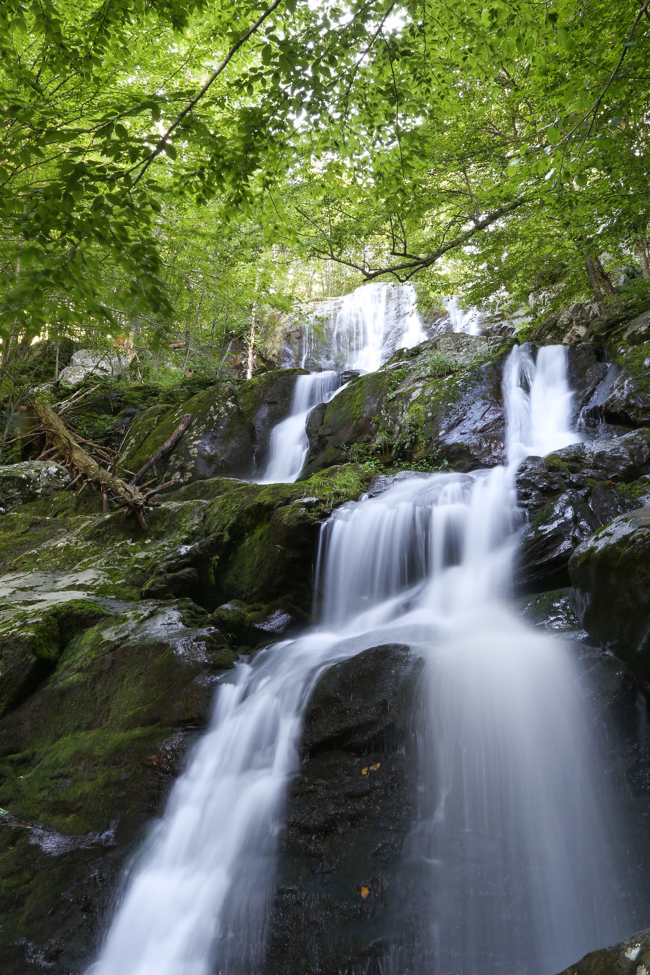 Dark Hallow Falls