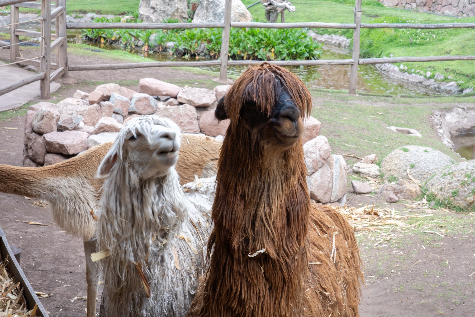 Cusco